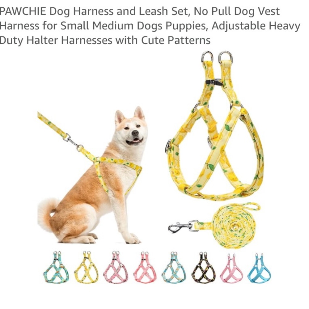 Yellow Dog Harness and Leash Set